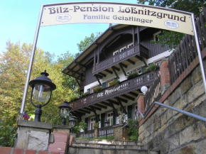 Отель Bilz-Pension  Радебойль